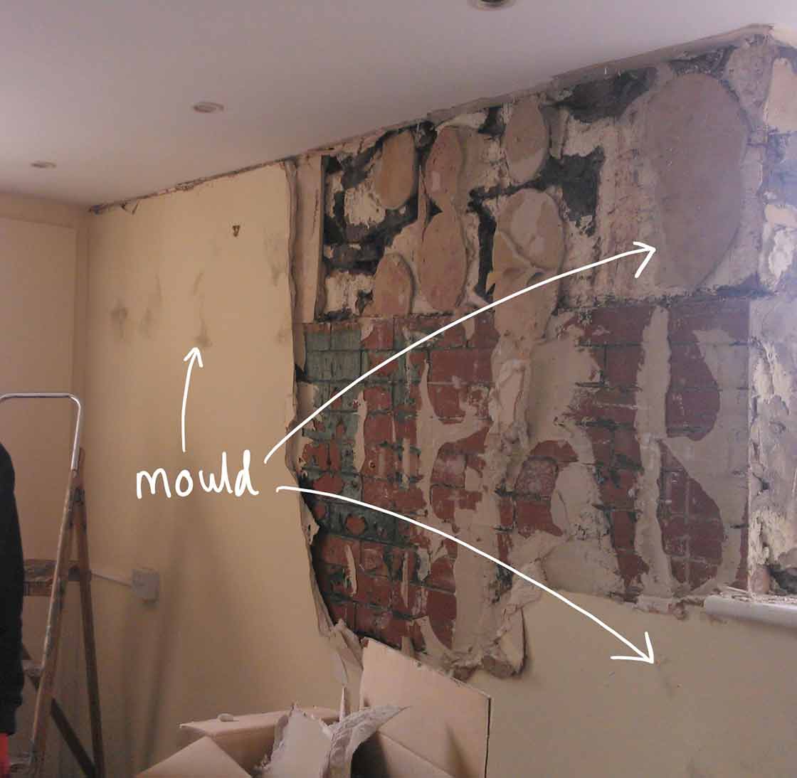 Hurst discovered interstitial mould behind existing dot and dab plasterboard on the external walls – an example of where poorly detailed fabric could ultimately cause a building to fall into disrepair, with an embodied carbon knock-on effect.