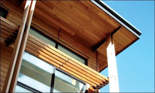 A cedar brise soleil reduces glare inside the building