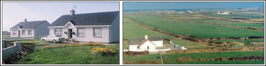 Some of the RRI project houses used for resettlement