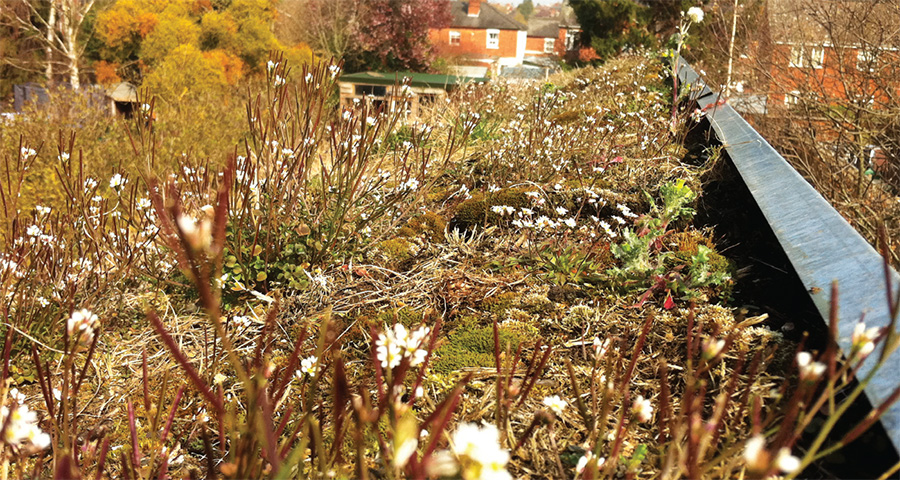 Partof the house also features a green roof with a variety of wildflowers