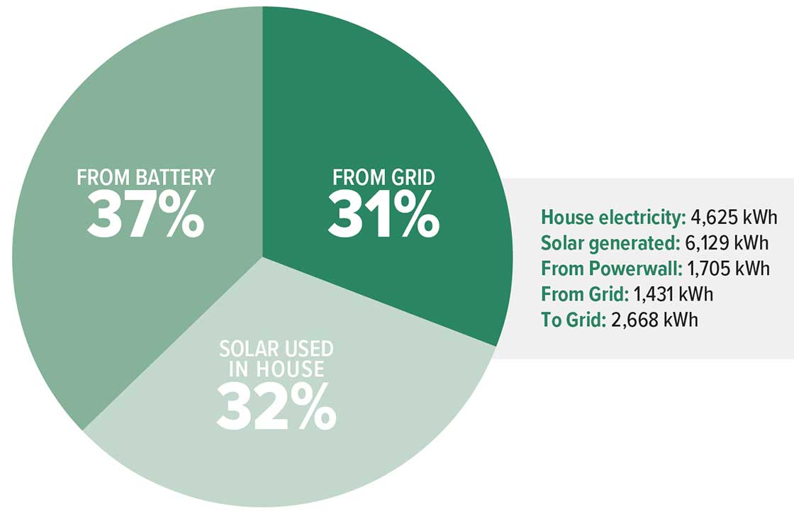 Net profit PIE CHART