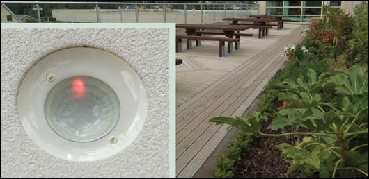 A roofgarden on top of the original 1977 section of the building makes use of limited space 