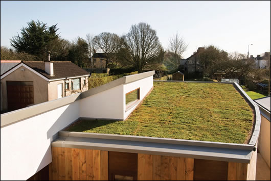 The sedum roof sits on the western side of the extension and is flanked on the eastern side by a pitched roof rising from east to west