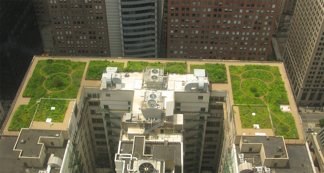 It pays to invest in healthy, green offices — WorldGBC